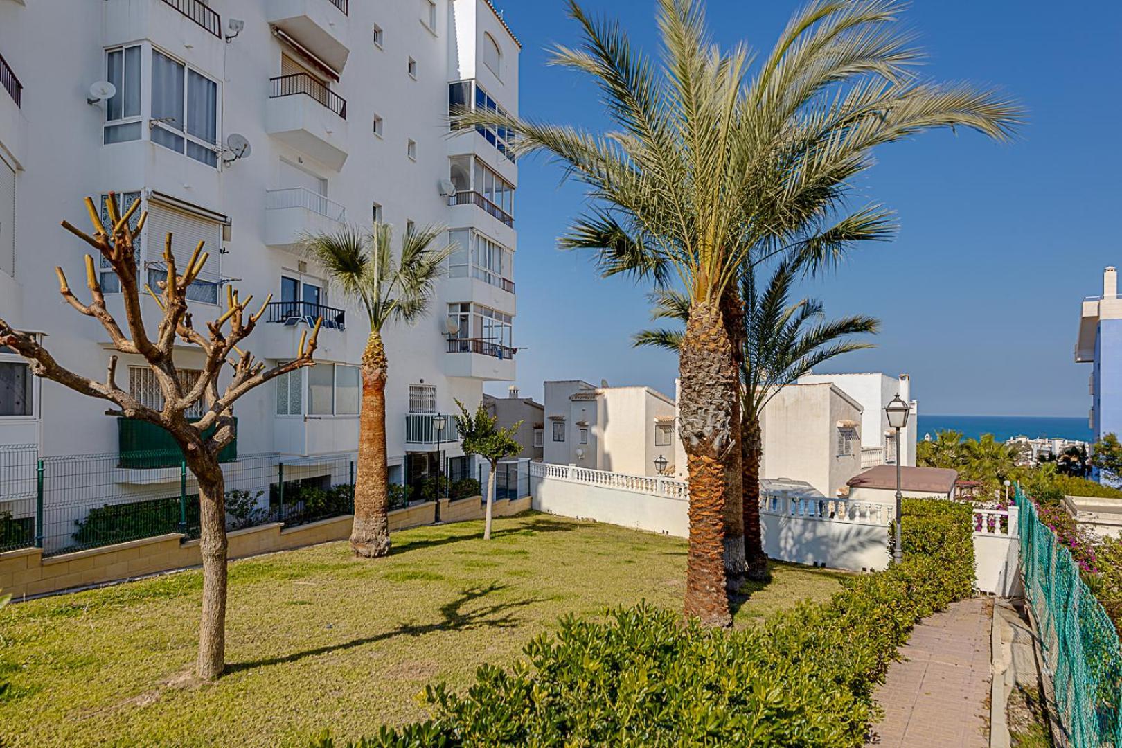 Estudio Jardin Del Mar Torrevieja Ngoại thất bức ảnh
