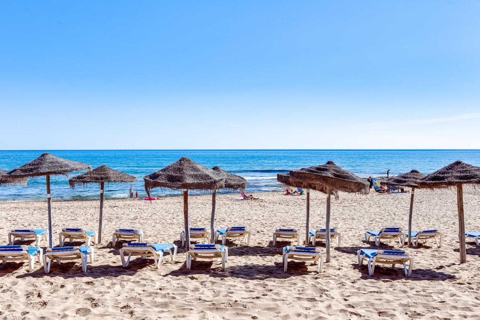 Estudio Jardin Del Mar Torrevieja Ngoại thất bức ảnh
